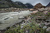 View of a glacial stream flowing through the mountains at the Southern tip of Greenland in Prins Christian Sund under a grey sky; Southern Greenland, Greenland