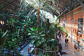 Das Innere des Atocha Bahnhofs mit seinem tropischen Garten; Madrid Spanien