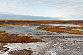 Gefrorene Landschaft mit Eisflecken auf dem Gras; Churchill Manitoba Kanada