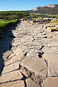 The Old Roman Road; Bolonia Andalusia Spain