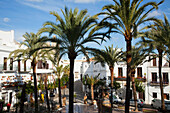 Fußgänger gehen zwischen den Gebäuden und Palmen; Vejer De La Frontera Andalusien Spanien