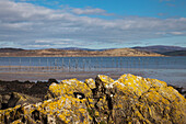 Landschaft entlang der Küste; Dumfries und Galloway Schottland