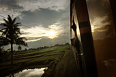 Looking Out On A Side Of A Train With The Sun Setting In The Over Rice Fields; Java Indonesia