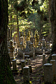 Traditional Japanese Cemetery In The Woods; Koyasan Wakayama Japan