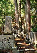 Traditioneller Japanischer Friedhof Im Wald; Koyasan Wakayama Japan