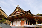 Japanese Temple Rooftops; Kyoto, Japan