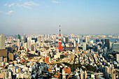 Der Tokio-Turm von den Rappongi Hills aus gesehen; Tokio, Japan