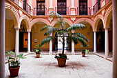 Plants In A Courtyard; Malaga, Andalusia, Spain