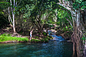 Kipu Falls Is A Secret Swimming Hole; Kauai Hawaii Usa