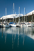 Boats In Seward Harbour; Alaska, United States Of America