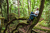 Ein Mann sitzt in einem Baum und malt inspiriert von der Natur im Cowichan Valley auf Vancouver Island; British Columbia Kanada