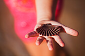 Eine Hand hält eine Muschel; Gold Coast Queensland Australien