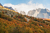 Los Torres vom Valle Ascensio aus gesehen; Patagonien Chile