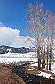 River Running Through Yellowstone National Park In Winter; Wyoming United States Of America