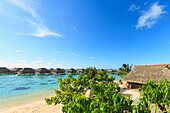 Sheraton Moorea Lagoon Resort And Spa; Moorea Insel Französisch-Polynesien Südpazifik