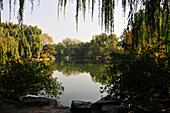 Ein ruhiger Teich mit einer Spiegelung von Bäumen; Beijing China