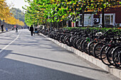 Eine lange Reihe geparkter Fahrräder entlang einer Straße; Peking China