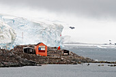 Gebäude umringt von Pinguinen; Antarktis