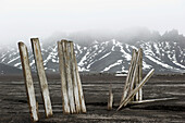 Wooden Posts On The Shore; Whalers Bay Antarctica