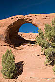 Arizona, Navajo Stammespark, Monument Valley, Mystery Valley, Honeymoon Arch, Wüstenlaub im Vordergrund.