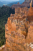 Utah, Bryce Canyon National Park, Rock formation and forestry in Aqua Canyon.