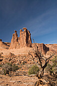 Utah, Arches National Park, Courthouse Towers, The Three Gossips landmark, foliage in foreground.