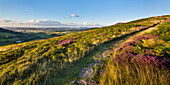 A Path Over A Hill With A View Of The Landscape In The Evening; Cleveland Way North Yorkshire England