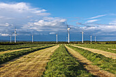 Wind Turbines; Kilmore Quay County Wexford Ireland