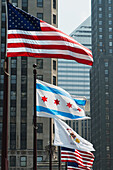 Fahnen in einer Reihe mit Gebäuden im Hintergrund; Chicago Illinois Vereinigte Staaten Von Amerika