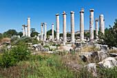 Ruins of aphrodisias ruins of the temple of aphrodite; aydin province turkey