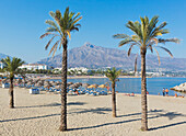 Puerto Banus Strand mit La Concha Berg im Hintergrund; marbella costa del sol malaga Provinz Andalusien Spanien