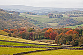 UK, England, Derbyshire, Herbstlandschaft