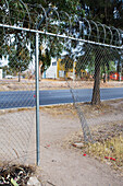 Mexico, Aguascalientes, Aguascalientes, Hole in barbed wire fence at roadside