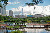 Japan, Tokyo, Water, trees and walkway form urban park with skyscrapers and buildings in background