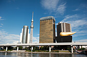 Japan, Tokyo, Tokyo skyline with Tokyo Skytree