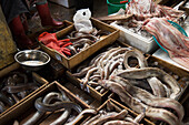 Verschiedene Meeresfrüchte in Holzkisten auf dem Fischmarkt; Pusan, Südkorea