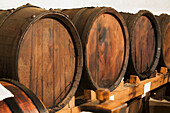 Italy, Emilia-Romagna, Spilamberto, Close up of large oak barrels