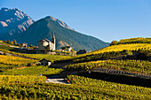 Switzerland, Valais, Vineyards; Saint-Severin