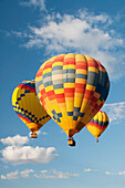 Colourful Hot Air Balloons In Flight For Balloon Fiesta; Albuquerque, New Mexico, United States Of America