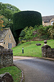 Eine Einfahrt, die zu Häusern führt und ein Baum, der in eine runde Form gemeißelt ist; England