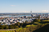 Blick auf die Stadt Auckland und den Sky Tower von Mt. Eden; Auckland, Neuseeland