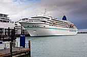 Kreuzfahrtschiff angedockt im Hafen von Auckland, genannt The Viaduct; Auckland, Neuseeland