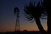 Windmühle und Köcherbaum (Aloe Dichotoma) bei Sonnenuntergang; Namibia