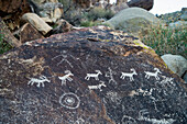 Prähistorische Felskunst, Grapevine Canyon; Nevada, Vereinigte Staaten Von Amerika
