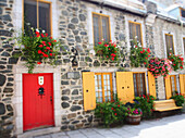 Bunte Türen und Fensterläden an Steingebäuden; Quebec City, Quebec, Kanada