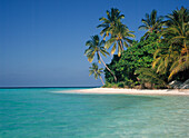 Tropische Meereslandschaft, Kokosnusspalmen am Strand
