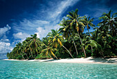 Tropical Seascape, Coconut Palm Trees on Beach