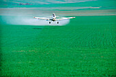 Flugzeug, Erntebestäubung aus der Luft