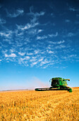 Wheat Harvesting, Australia