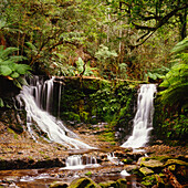 Horseshoe Falls, Mount Field National Park, Tasmanien, Australien